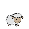 Schaf
