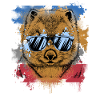 Wombat
