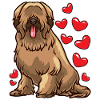 Briard amoureux de chien cadeau