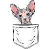 Sphynx Pocket, sphinx