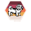 Havanese T Shirt
