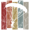 Parachutisme parachutiste parachutiste