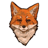 Fox hoved Foxhead Foxdrawing Art