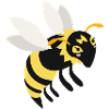 wasp