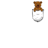 Teddy bear in pocket