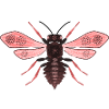 Mouche rouge