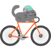 Cat Rides Bicycle