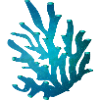 bluish coral