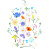 Bunte Blumen Blumenwiese