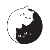 BLACK N WHITE CAT