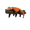 Red Panda
