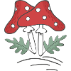 fungi