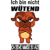 Ich Bin Nicht Wütend Hund