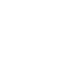 Made in Japan