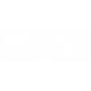 CTRL V SON