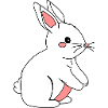 Lapin