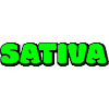 Sativa