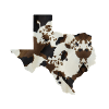 Texas