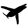 Buckelwal, Wal, Walfisch, Silhouette