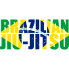Brazilian Jiu-Jitsu Flag 3 BJJ