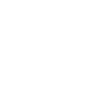 THE ROOKIE