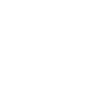 Evolution Auto