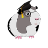 Professor Guinea Pigs
