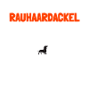 Rauhaardackel Hund