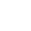 Tête labrador « Black Edition »