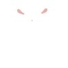Chinchilla