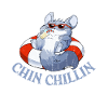 Chinchilla