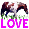 Cheval