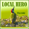 Green woodpecker - LOCAL HERO