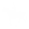 Pferd