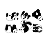 Panda cadeau