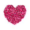 Pink Roses Heart