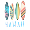 Hawaii Surfing Paradise Surfboards