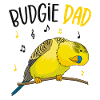 Budgerigar