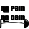No Pain No Gain