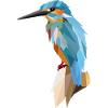 Eisvogel Polygon