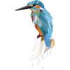 Kingfisher Polygon