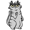 Cat Cats