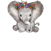 Baby Elephant