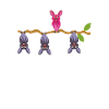 Be Different Fledermaus