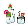spring flowers