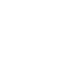 VROOM VROOM