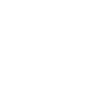 Bitcoin Logo