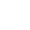 Gemini Definition