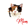 Calico Mom, cat calico