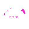 This is how i Roll
